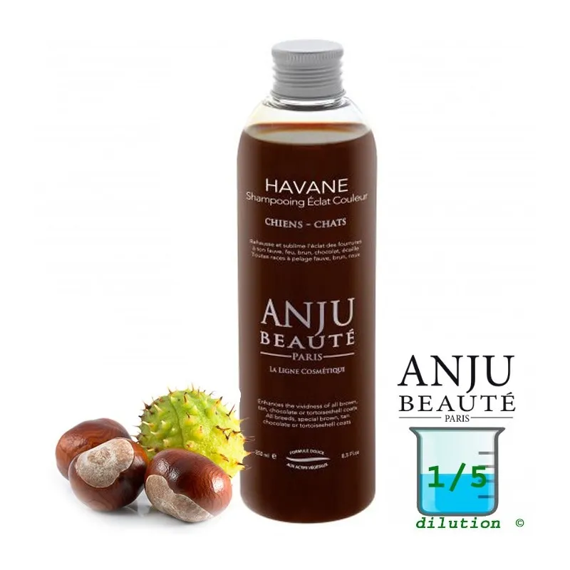 Anju Beauté HAVANE Shampoo