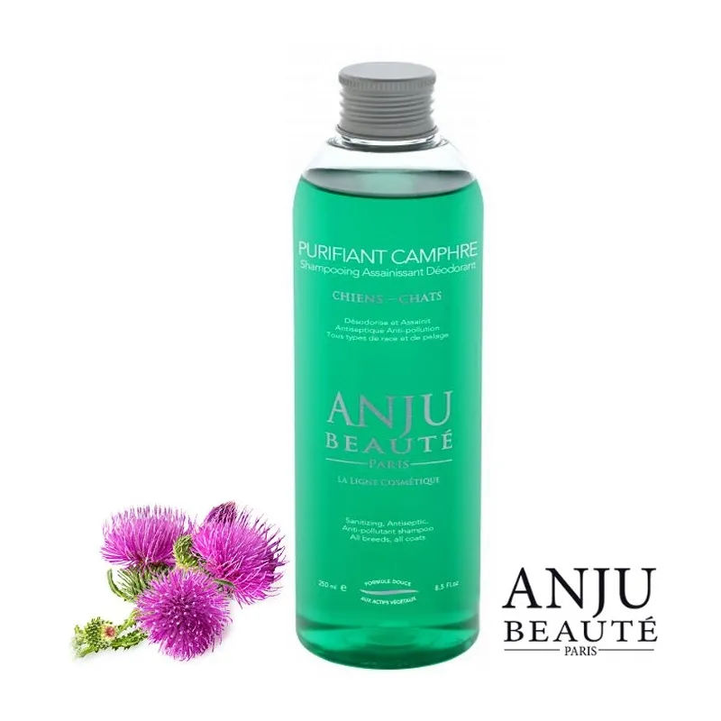 Anju Beauté PURIFIANT CAMPHRE Shampoo
