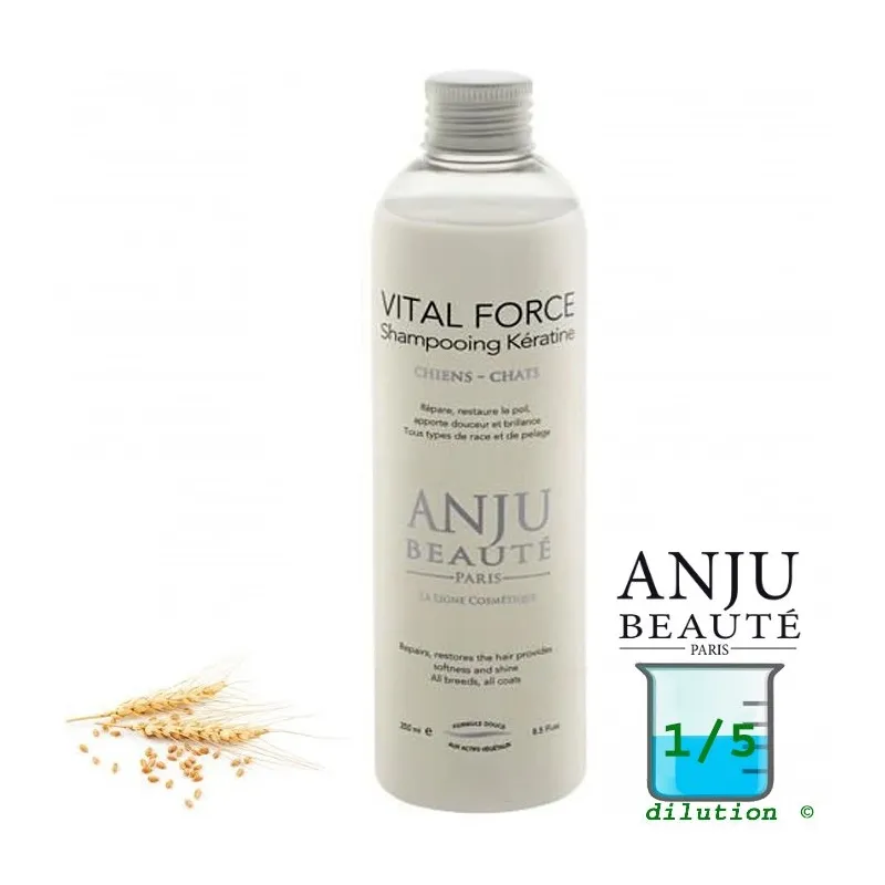Anju Beayte VITAL FORCE SHAMPOON 1liiter -10%