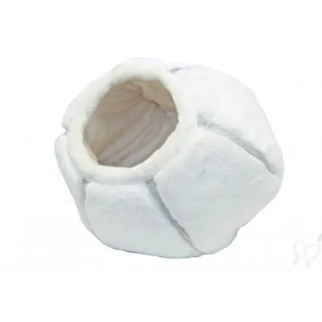 Saksa pesa, Cat cave egg