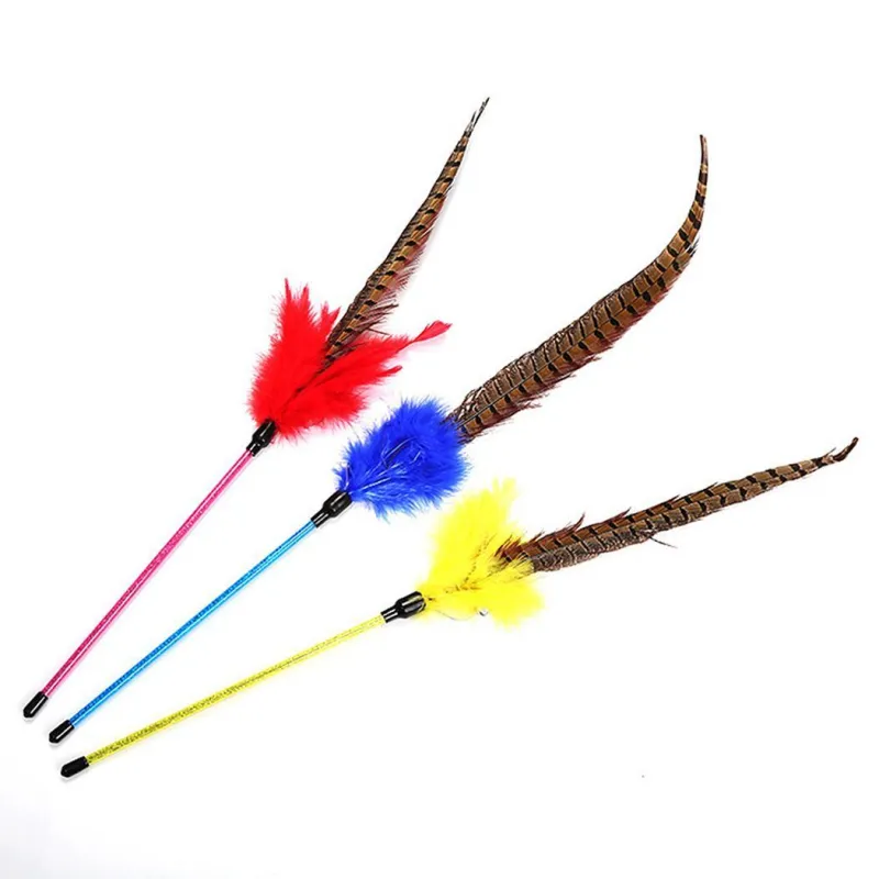 USA Pheasant on a stick