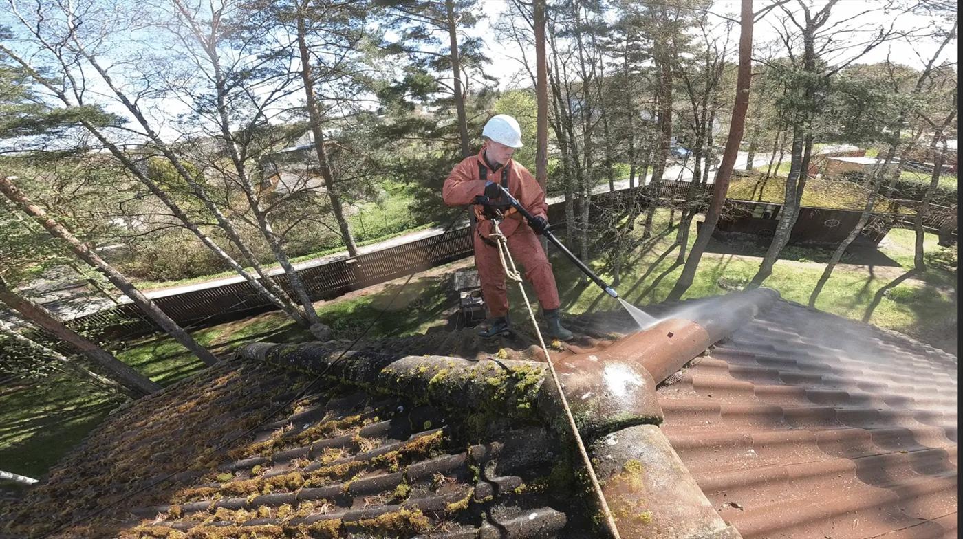 Vaikselt, aga sihikindlalt.