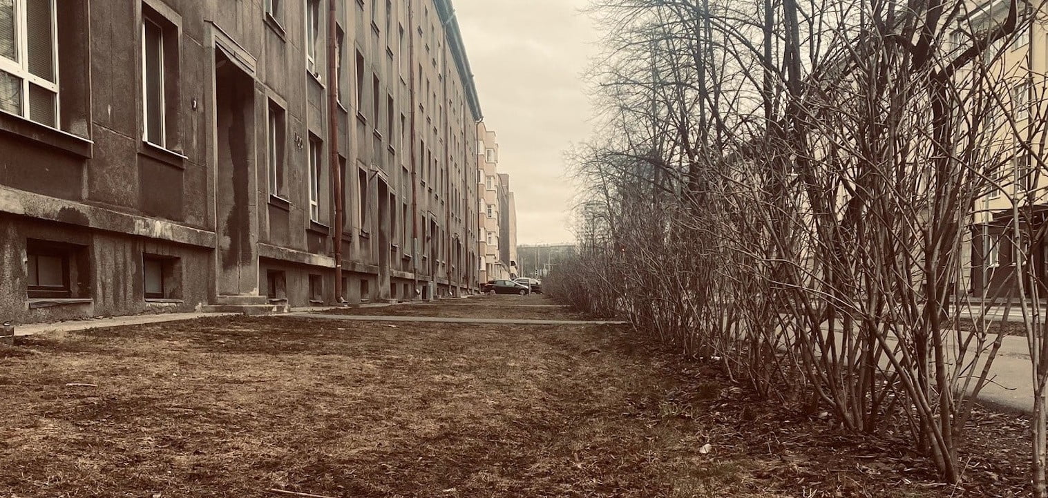 KÜ regulaarne koristus