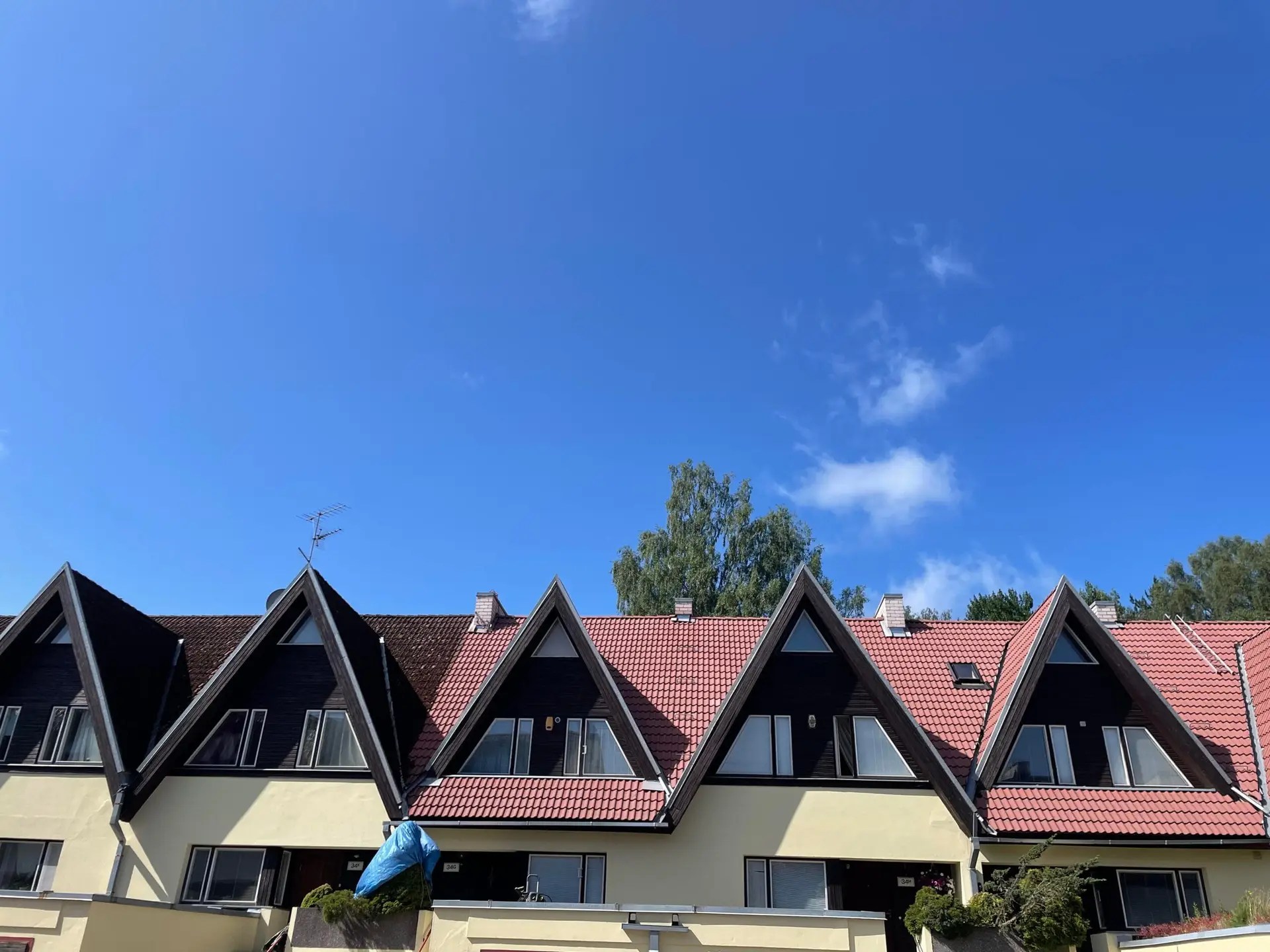 Katusepesu — tulemus lähivaates