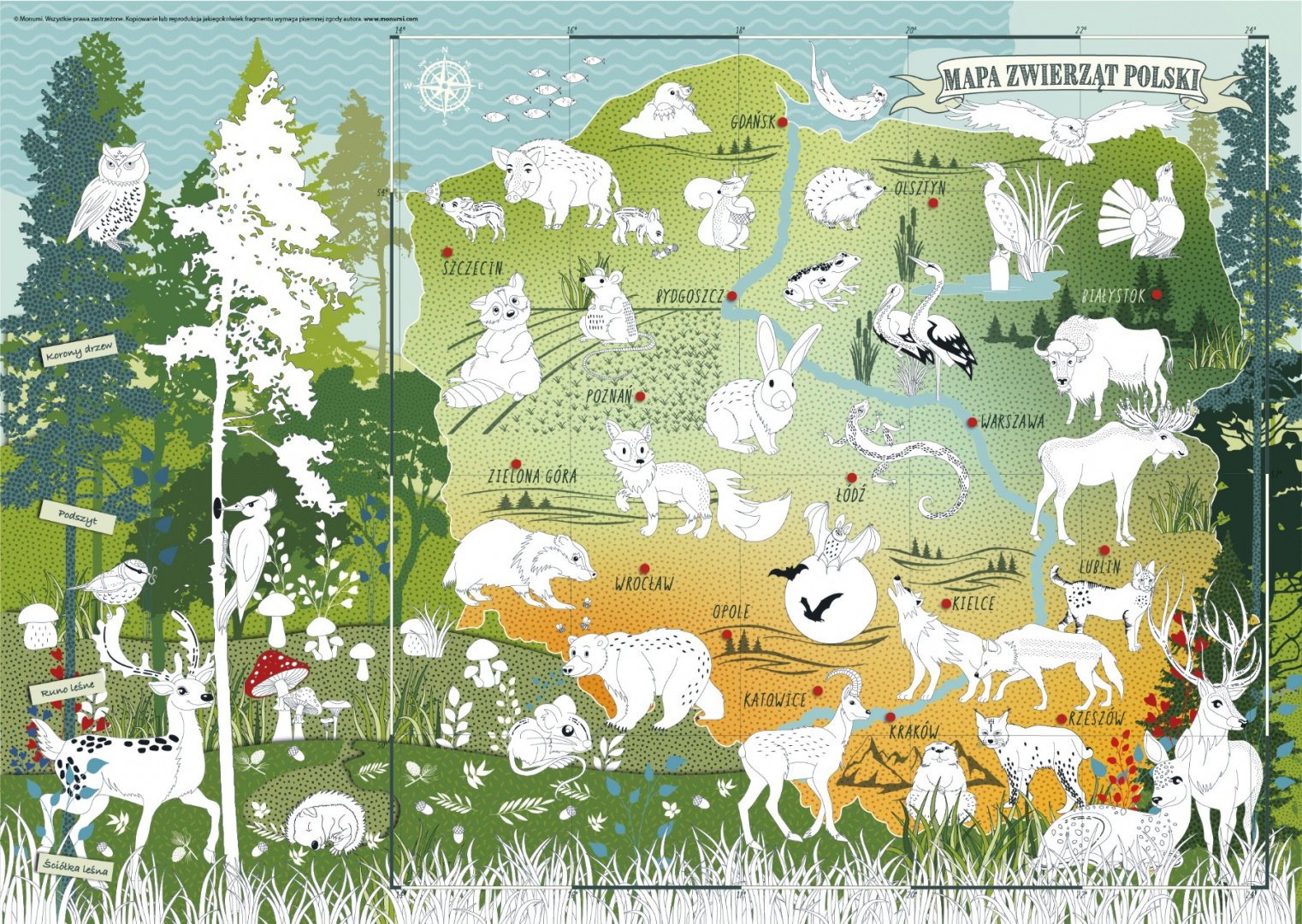 Coloring page animals map of Poland