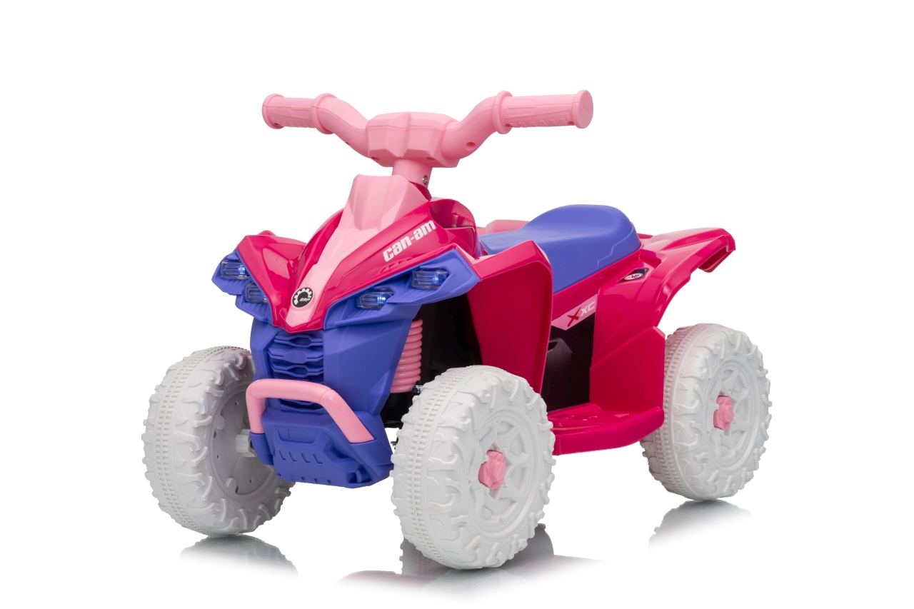 MINI Can Am Renegade ATV Roosa