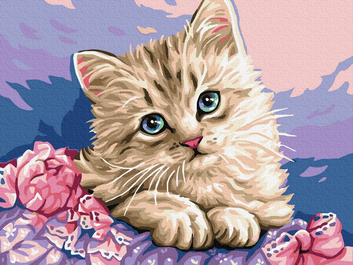 Painting by numbers 40x50 Blue-eyed kitten