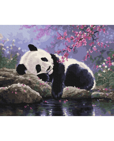 Numbrite järgi maalimine 40x50 Puhkav panda