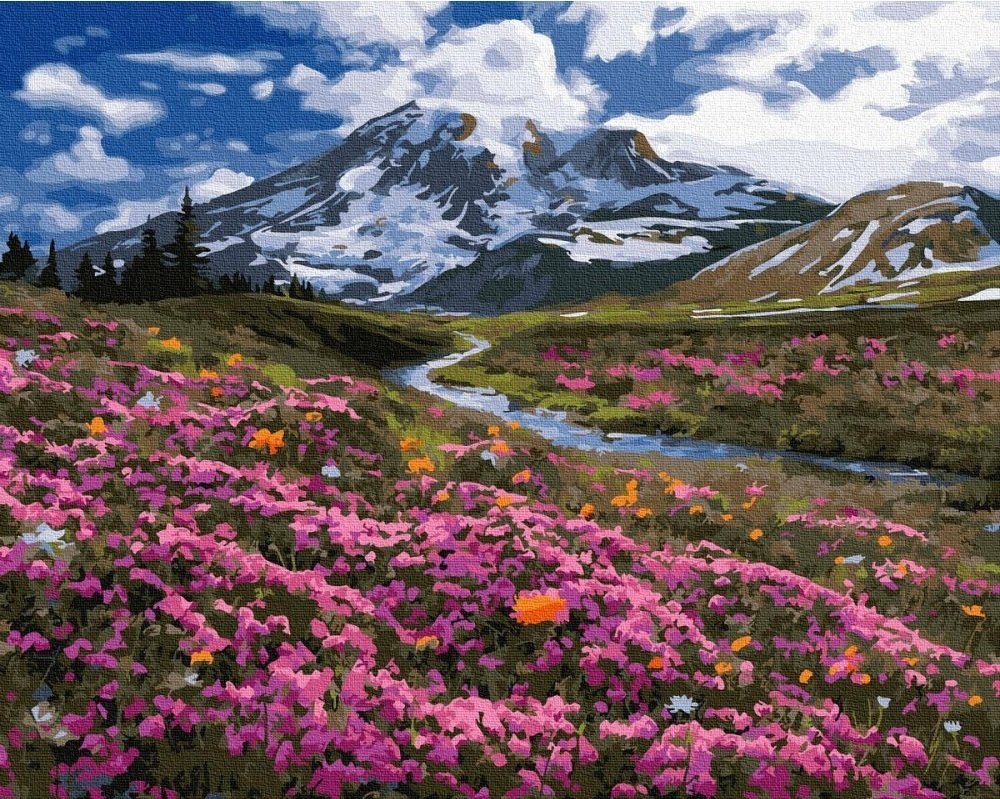 Painting by numbers 40x50 Spring in the mountains